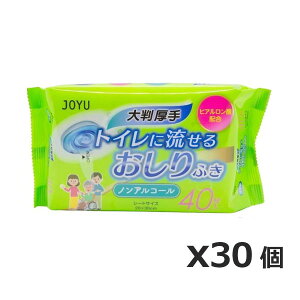 JOYU 唻 mAR[ ugCɗvӂ V[g^Cv 40 x30(qA_z K@ ^Cv {)
