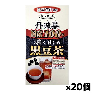 ガ傭낦 ʘI Y100% Zo鍕 6gx16ܓ x20
