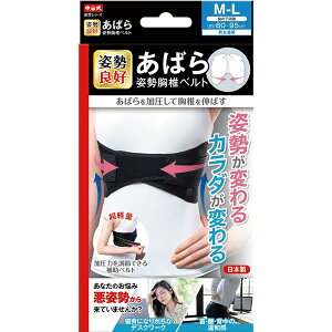 [RY]΂pŃxg M-LTCY(pP ⏕xg b ] ʋC)