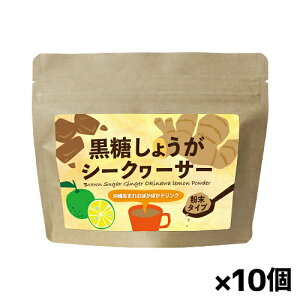 MюA 傤V[N[T[ 120g x10(ꌧY ^Cv ɂ)