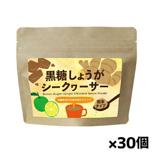 MюA 傤V[N[T[ 120g x30(ꌧY ^Cv ɂ)
