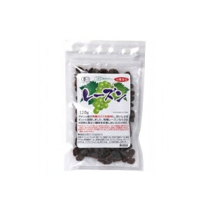 n L@͔|[Y 120g