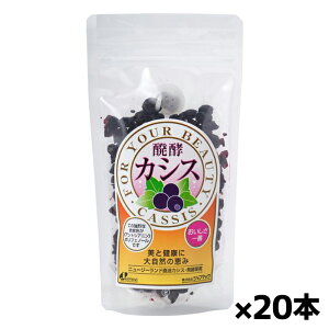 Wt}bN yJVX ^Cv 100g x20(yJVX Ăؓ |tFm[z)