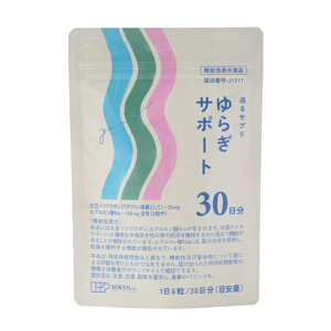 �y�䂤�p�P�b�g�z���I���������z�n���� ����T�v�� ��炬�T�|�[�g ��30����180�� x1��(�哤�C�\�t���{�� �q�A�������_)[�@�\���\���H�i](�|�X�g���� �ǐՂ��胁�[����)