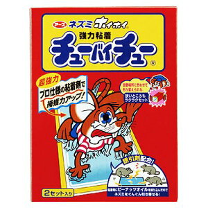 y䂤pPbgzΏہz`[oC`[܂ڕt2Zbg(|Xg ǐՂ胁[)