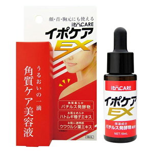 y䂤pPbgzΏہz[u[RXX]C|PAEX pPAEX 18ml(ێ et p XLPA)(|Xg ǐՂ胁[)