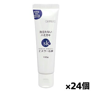 XP[Ό AȂn~KL 100g XyA~g(YiFAhܕsgp) x24