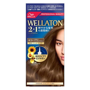 EGg[ c[vX 2+1 t^Cv 8CB 薾邢i`uE(  L͈ 葁܂  򕔊Oi)