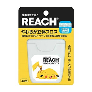 y䂤pPbgzΏہz[Xet@j[]REACH([`)炩̃tX 1(f^PA ԃPA bNXH )(|Xg ǐՂ胁[)