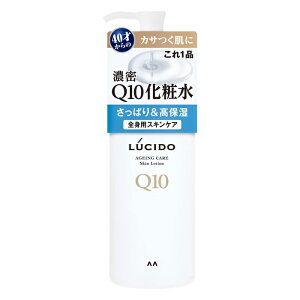 [}_]LUCIDO(V[h) Q10ϐ 300ml (Sgp 40˂ jp J_ ێ)