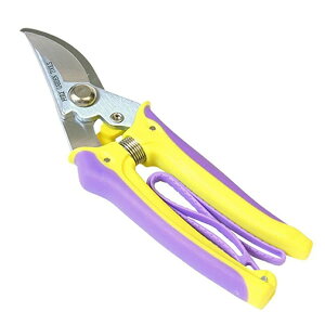 [󍁍H]t[ p 1( ͂ A   ؂̙)