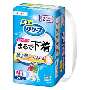 [ԉ][t pc ܂ŉ 2 M`LTCY zCg 20(lpނ ͏L jp)