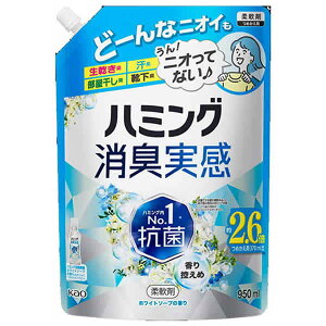 [ԉ]n~O L zCg\[v̍ lւp 950ml(_  ̏L L)