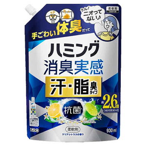 [ԉ]n~O L EL^Cv NAVgX̍ lւp  930ml(_  ̏L L)