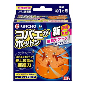 {e KINCHO RoG|bg { 1(RoGߊl Q쏜 u^)