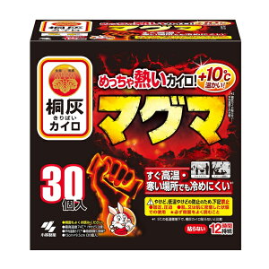 [ѐ]ˊDJC }O} \Ȃ^Cv 30 ( 12Ԏ ĝ JC h΍ ۉ)