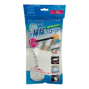 xm |O[u t[TCY 10(g؂ G{XH ق |)