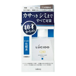 V[h p g[^PAϐ 110ml (LUCIDO) (򕔊Oi)