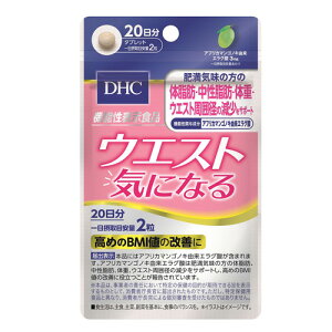 y䂤pPbgzΏہz[DHC]EGXgCɂȂ 20(40)(|Xg ǐՂ胁[)