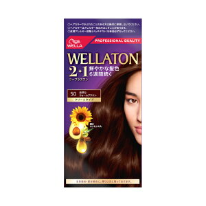 EGg[2{1 N[ 5GRȃEH[uE(p)