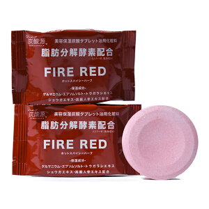 y䂤pPbgzΏہzY_ eێY_^ubgpϗFIRE RED bhybp[n[u 1p(2)[pϗ](|Xg ǐՂ胁[)