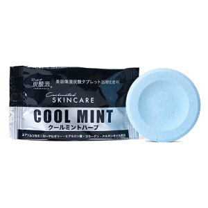 y䂤pPbgzΏہzY_ eێY_^ubgpϗ COOL MINT N[~gn[u 1[pϗ]()(|Xg ǐՂ胁[)