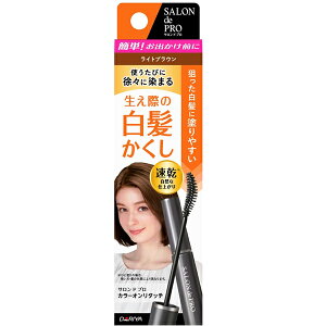 y䂤pPbgzΏہz[_]Thv J[I^b` EX CguE ({J[ ѐ  ZtJ[  wAX^CO)(|Xg ǐՂ