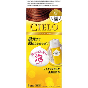 [z[[]VG CIELO VG [XJ[ p S̐ 3C LuE[򕔊Oi](A^Cv ѐ   wAPA)