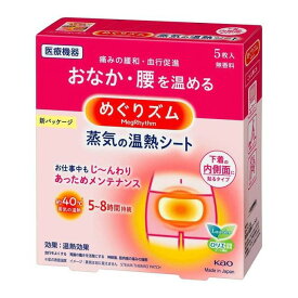 花王めぐりズム 蒸気の温熱シート下着の内側面に貼るタイプ 5枚入り おなか・腰に温熱効果（めぐりズム めぐりずむ めぐリズム メグリズム お腹 温熱パット 肩・首用 肩こり グッツ）