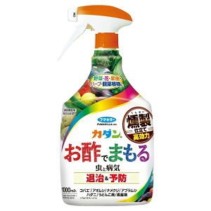[t}L[]J_ |ł܂ 1000ml(EEۍ  ގ \h |p)