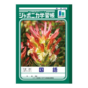 y䂤pPbgzΏہz[VEm[g]W|jJwK  12s c[_[[JL-11](|Xg ǐՂ胁[)