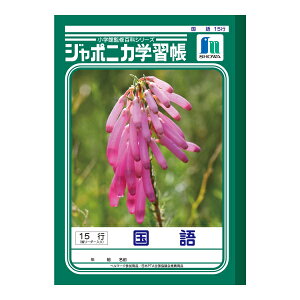 y䂤pPbgzΏہz[VEm[g]W|jJwK  15s c[_[[JL-13](|Xg ǐՂ胁[)