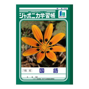 y䂤pPbgzΏہz[VEm[g]W|jJwK  15s[JL-13-1](|Xg ǐՂ胁[)