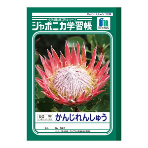 y䂤pPbgzΏہz[VEm[g]W|jJwK K 񂶂񂵂イ 50 \[_[[JL-48](|Xg ǐՂ胁[)