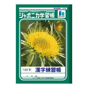 y䂤pPbgzΏہz[VEm[g]W|jJwK K 120[JL-50-2](|Xg ǐՂ胁[)