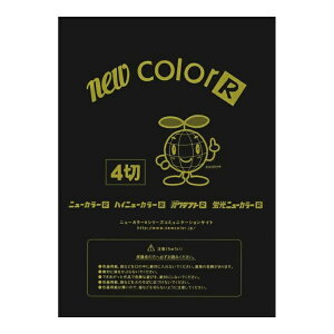 [^]Fp j[J[ 4   100[4NCR-418]
