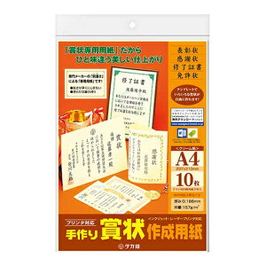 [TTK]܏쐬p 10 A4 N[[10-1967]