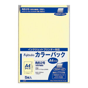 }AC J[pbN p2 100g N-[PK-21C]