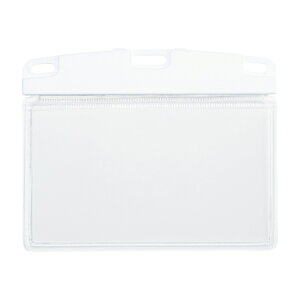 [I[vH]DpP[X \tg RhTCY 10  NX-100-WH