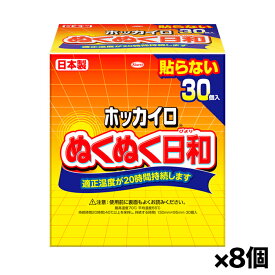 興和 ホッカイロ ぬくぬく日和 貼らないレギュラー 30個入り x8個セット