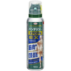 【第2類医薬品】バンテリンコーワ エアロゲルEX 120mL（バンテリン 筋肉痛 肩こり 腰痛 関節痛 腱鞘炎 打撲 捻挫）【SM】
