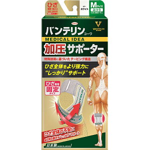 a oeR[ T|[^[ Ђp 1 zCg ӂ MTCY(ErErp Œ^Cv)ԕiEs