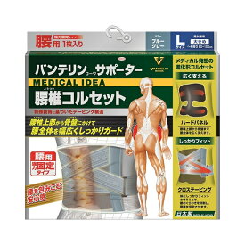 楽天市場 バンテリンサポーター 腰の通販