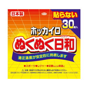 興和 ホッカイロ ぬくぬく日和 貼らないレギュラー 30個入り