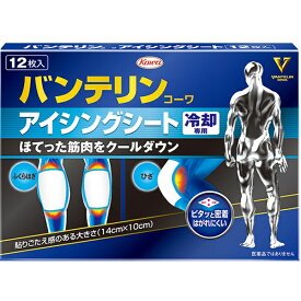 ＊大特価＊【ゆうパケット配送対象】バンテリンコーワアイシングシート 12枚入り 冷却 ひんやりシート（冷却専用 14cm x 10cm）(ポスト投函 追跡ありメール便)