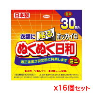 興和 ホッカイロ ぬくぬく日和 貼るミニ 30個入り x 16個セット