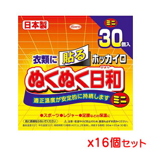 興和 ホッカイロ ぬくぬく日和 貼るミニ 30個入り x 16個セット