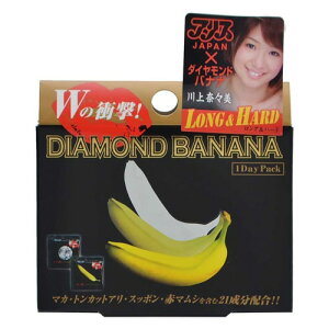 y䂤pPbgzΏہz^{bN _Choii 1DAYpbN(|Xg ǐՂ胁[)