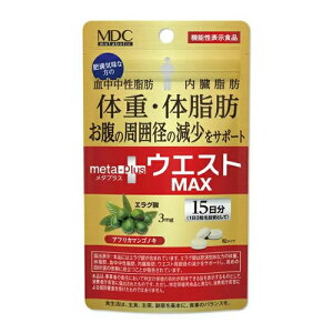 y䂤pPbgzΏہz^vXEGXgMAX 45(15)(|Xg ǐՂ胁[)