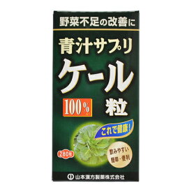 山本漢方製薬 ケール青汁粒 280粒